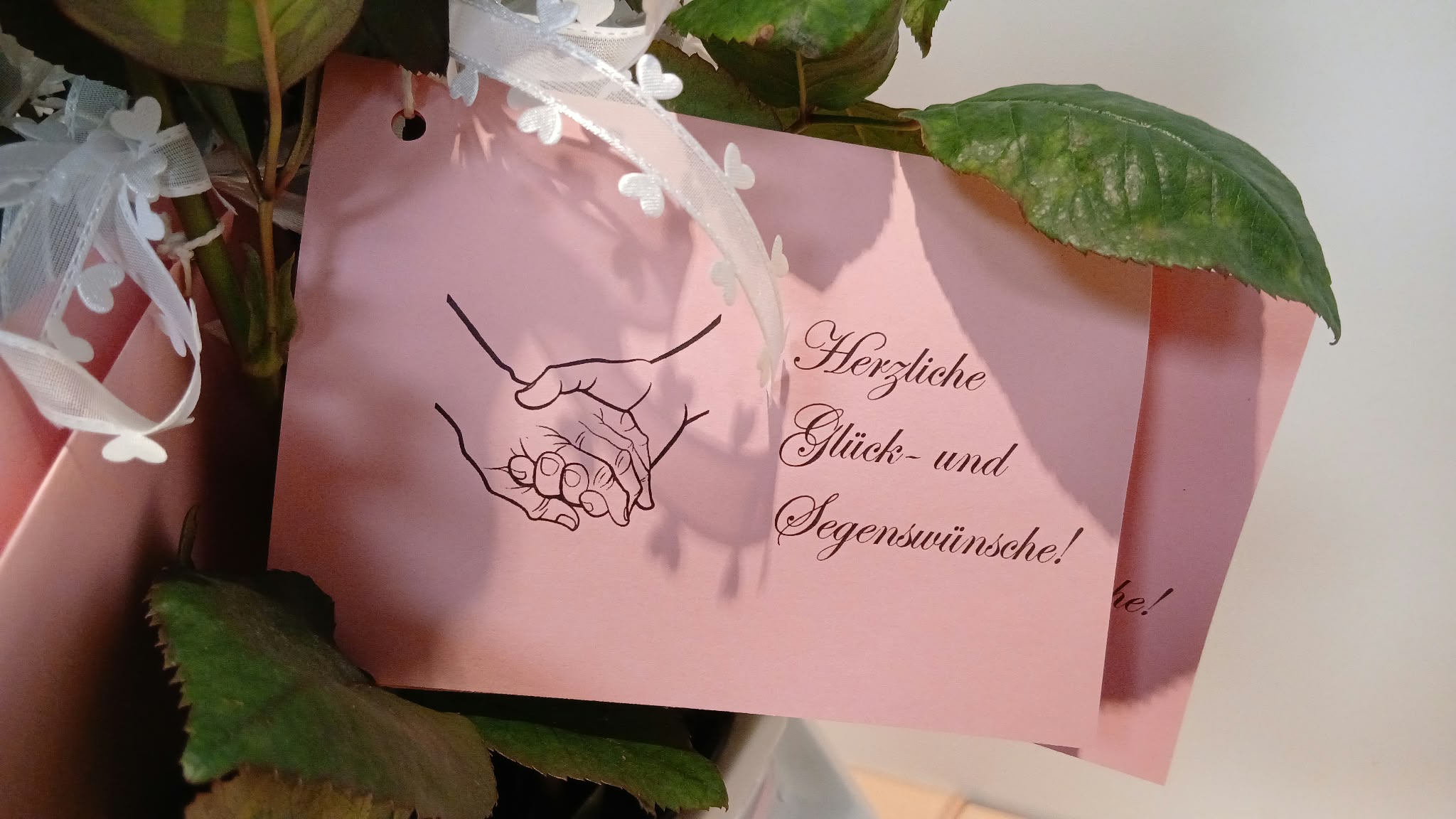 Hand in Hand – gemeinsam seit vielen Jahren